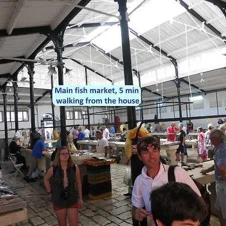 Marija In Perfect Location 스플리트